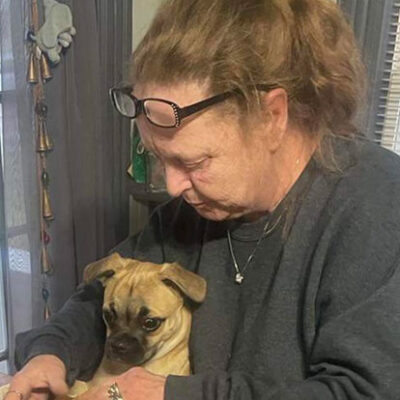 Little Puppy Luv Pugshire puppy